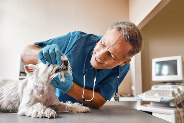 Best Emergency Tooth Extraction in Pompton Plains, NJ